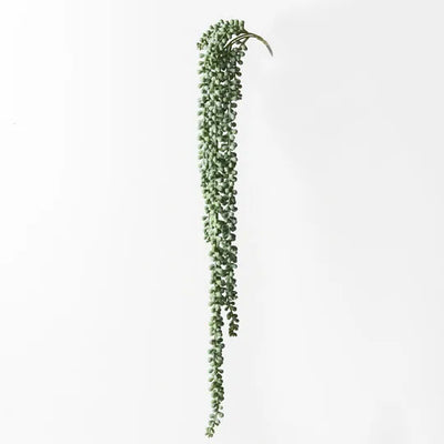 String of Pearls Hanging Bush Grey Green 70cml