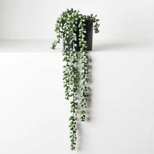 String of Pearls in PotGrey / Green 45cml
