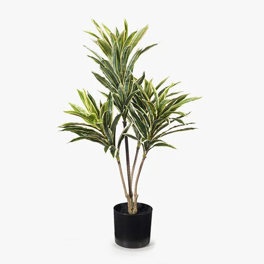 Artificial cordyline Plant Variegated 66cmh