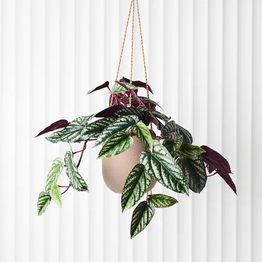 Pot Flo Hanging Taupe / Grey 14cmh x 15cmd