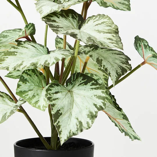 Artificial Begonia in Pot 40cmh