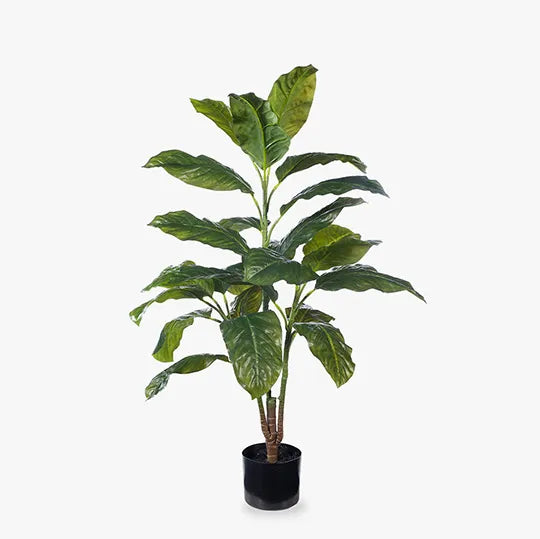 Evergreen Plant Green 110cmh