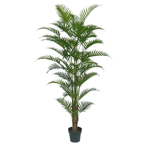 180cm 45Leaf Real Touch Fern Palm In Pot