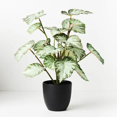 Artificial Begonia in Pot 40cmh