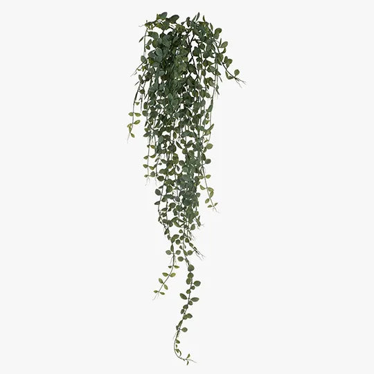 Fern Button Hanging Bush Grey 94cml