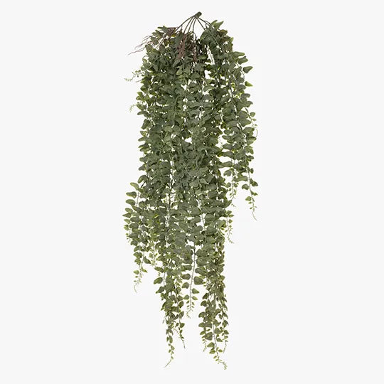 Fern Jewel Hanging Bush Grey Green 81cml