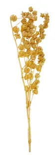 Lily Valley Preserved Bunch 60cm Mustard